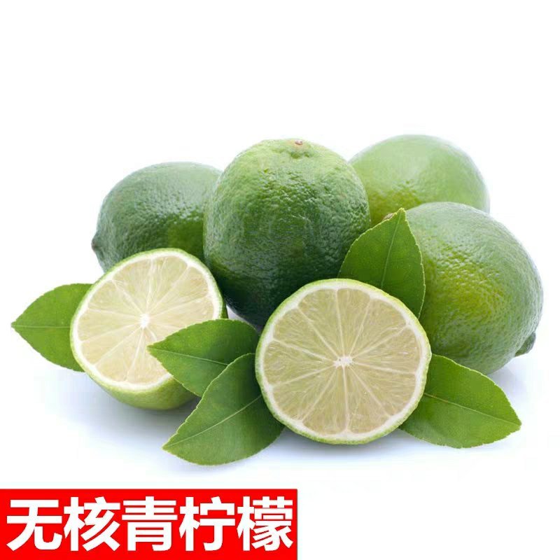 带花苞柠檬盆栽柠檬苗柠檬树苗果树苗香水柠檬苗四季