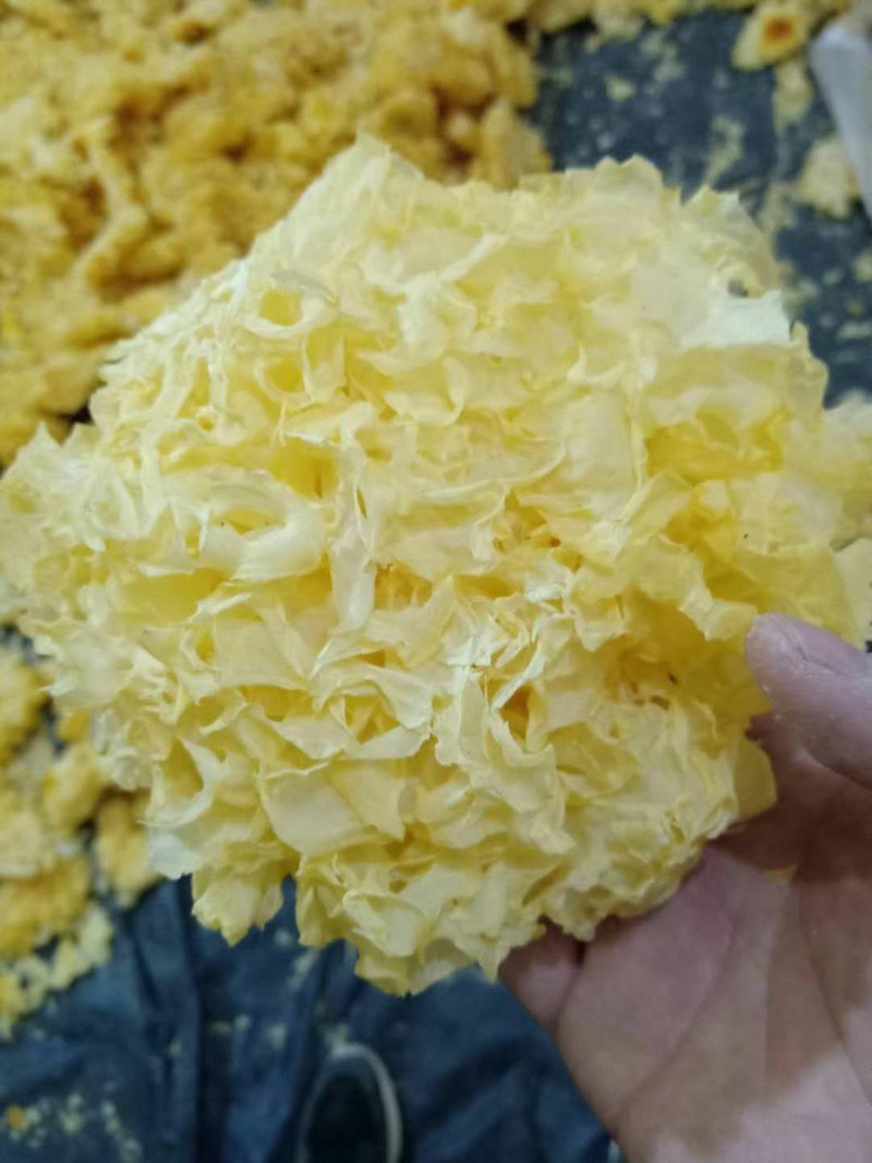 雪花银耳干货批发品质保证值得信赖！