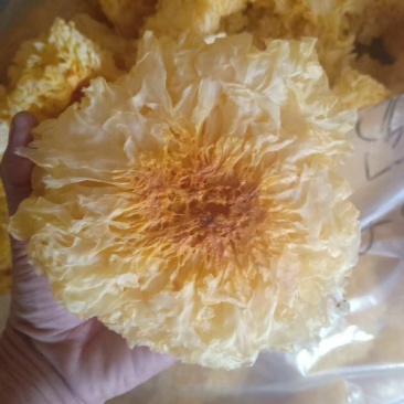 雪花银耳干货批发品质保证值得信赖！