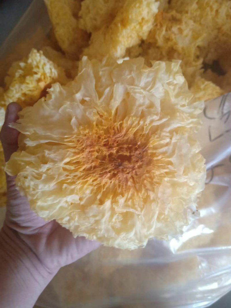 雪花银耳干货批发品质保证值得信赖！