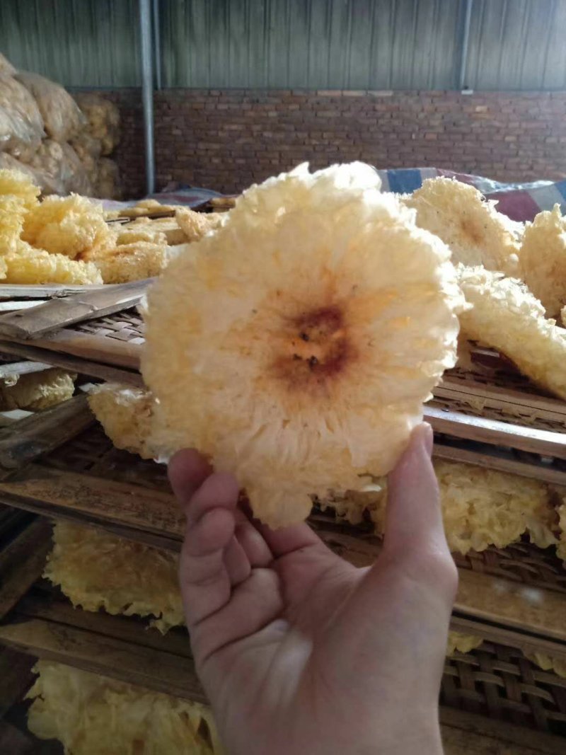 雪花银耳干货批发品质保证值得信赖！