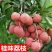 正宗嫁接荔枝树苗妃子笑糯米滋桂味无核果树苗当年结果南北方