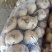 土豆早大白
