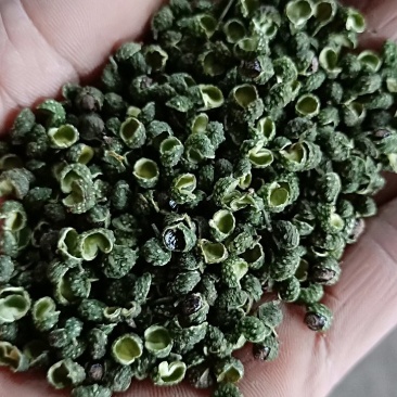 江津九叶青花椒，清香超纯，色香俱全，是烹饪必须佳品调料