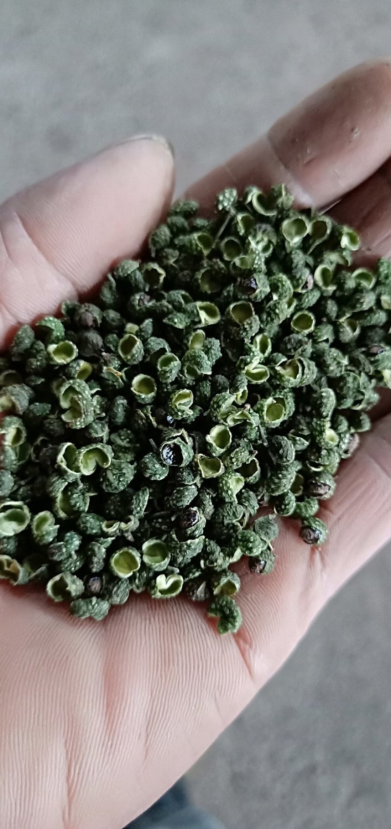 江津九叶青花椒，清香超纯，色香俱全，是烹饪必须佳品调料