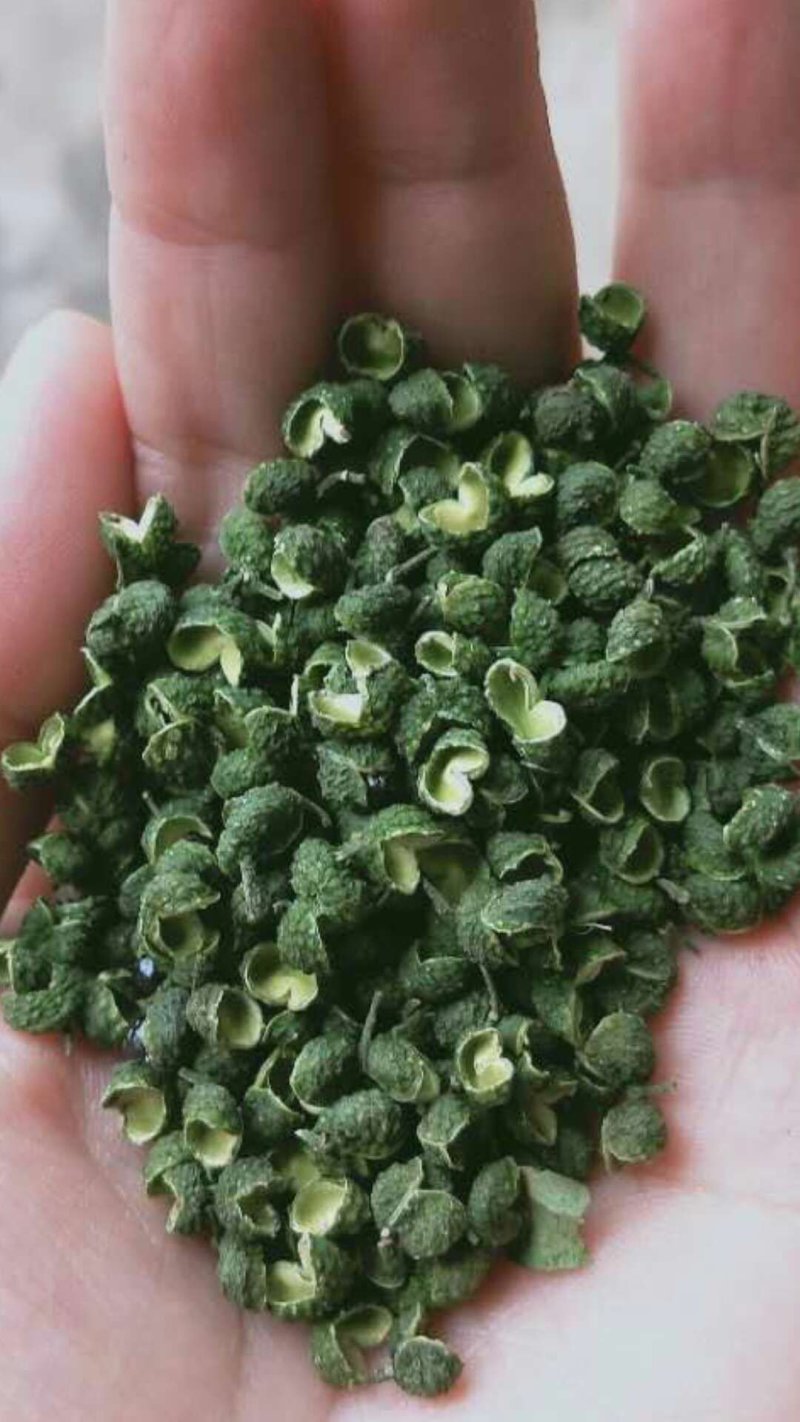 江津九叶青花椒，清香超纯，色香俱全，是烹饪必须佳品调料