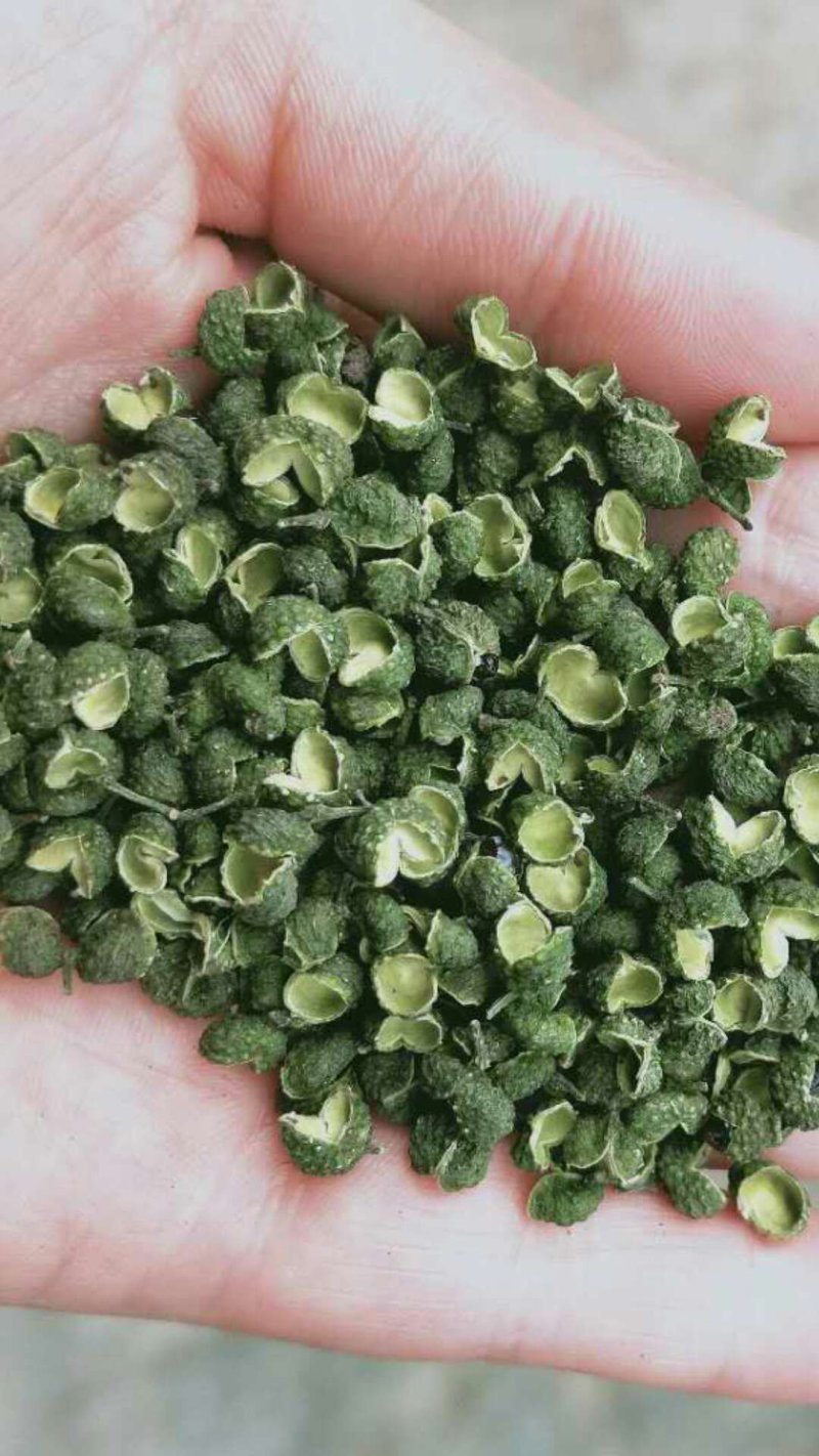 江津九叶青花椒，清香超纯，色香俱全，是烹饪必须佳品调料
