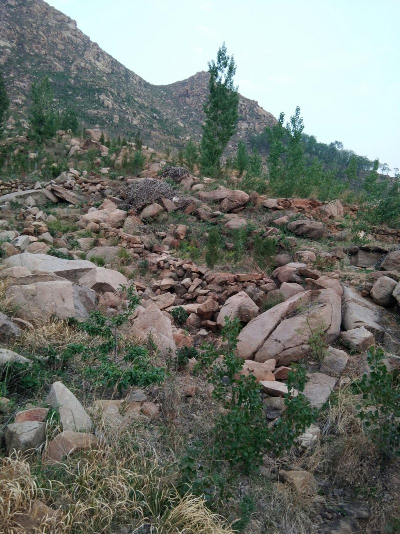 山地，带果树水电，想租山地的朋友联系，