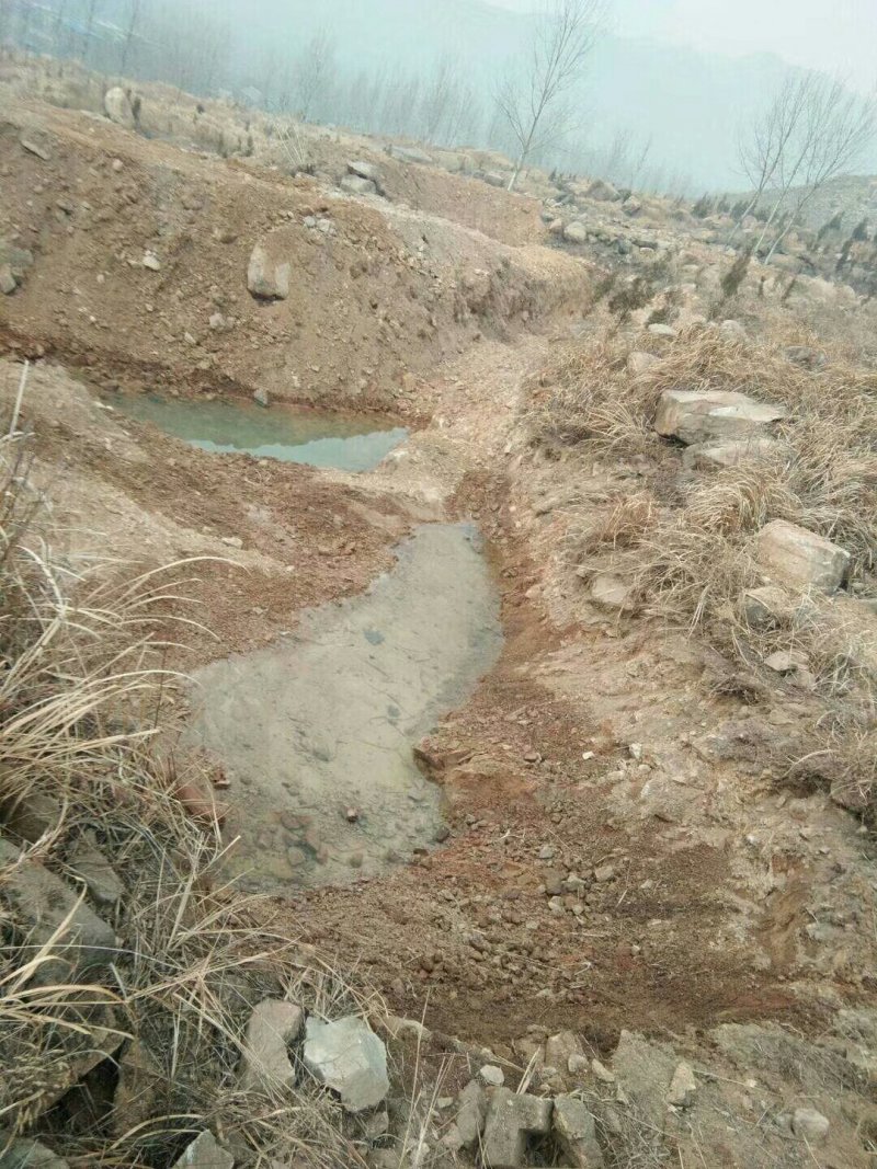 山地，带果树水电，想租山地的朋友联系，