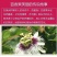 百香果大果5斤西番莲新鲜水果现摘现发酸甜爽口一件代发