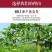 百香果大果5斤西番莲新鲜水果现摘现发酸甜爽口一件代发