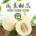 阎良甜瓜5斤包邮
