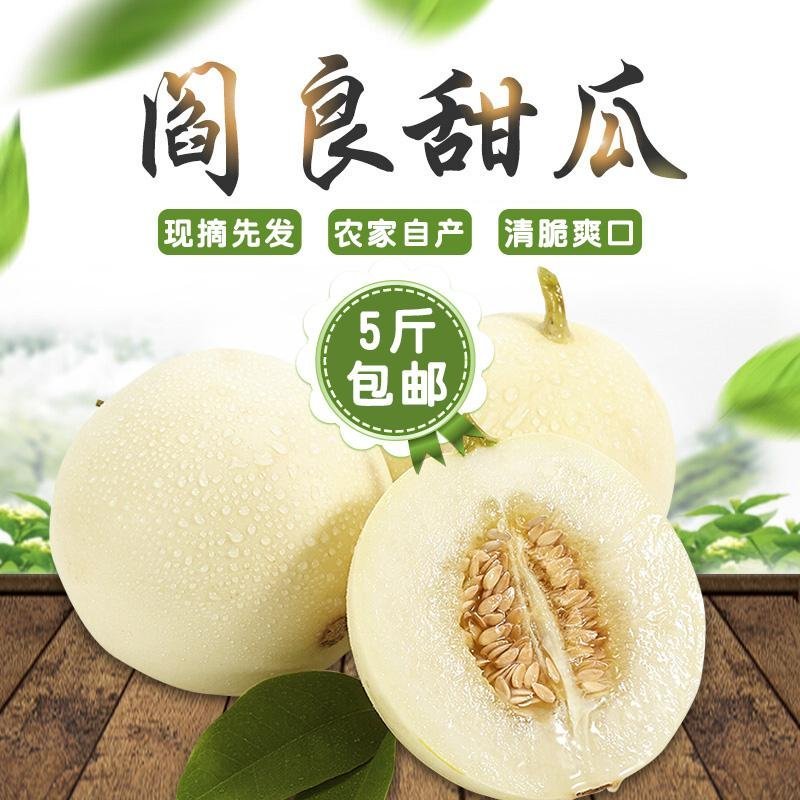 阎良甜瓜5斤包邮