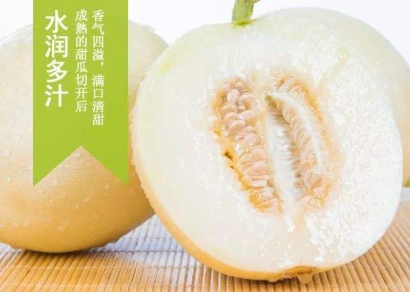 阎良甜瓜5斤包邮