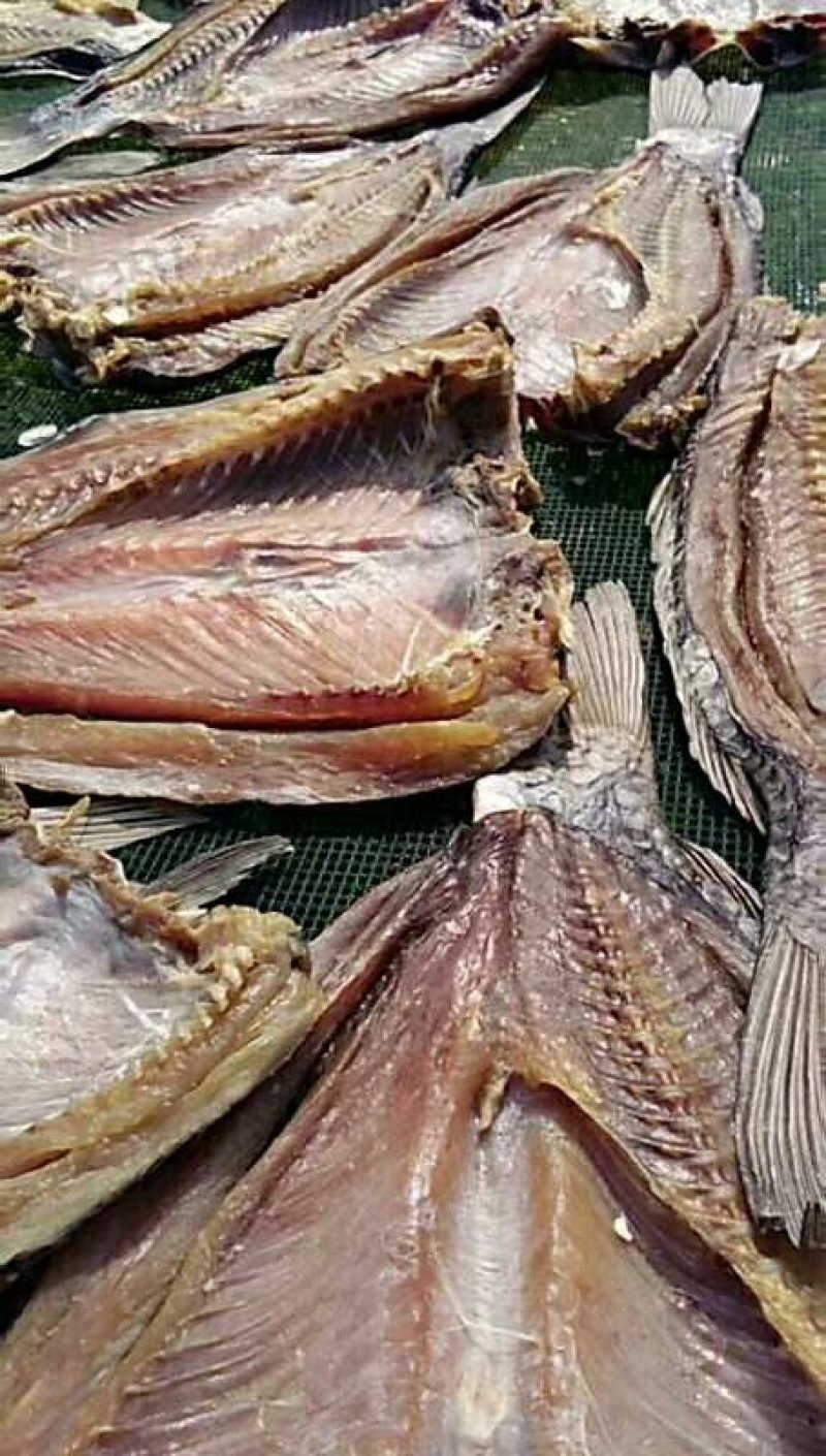鲤鱼干鲤鱼块咸鱼干腊鱼大量供应