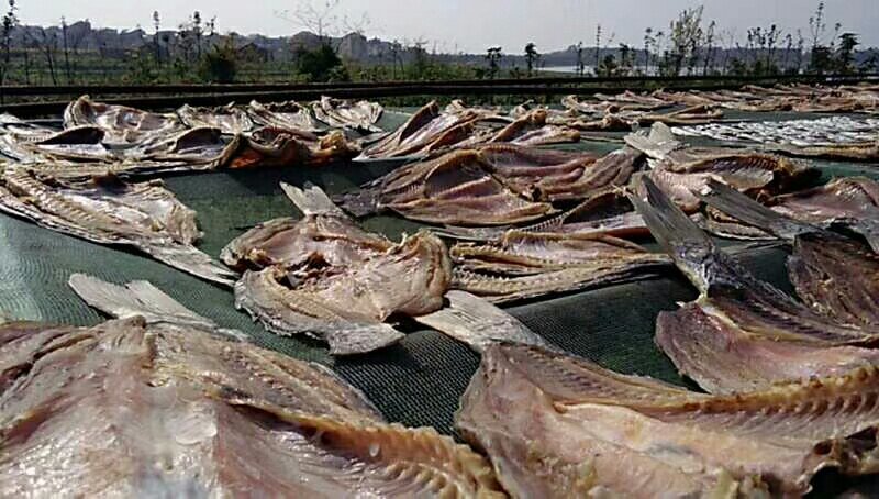 鲤鱼干鲤鱼块咸鱼干腊鱼大量供应