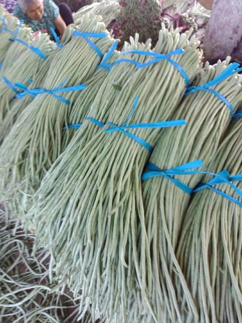 豇豆大量上市中