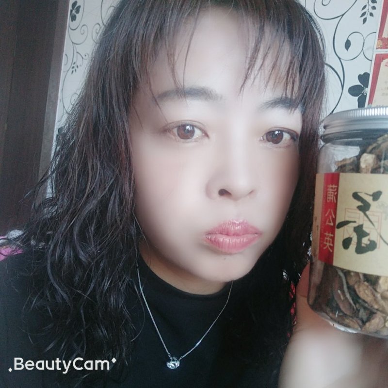 包邮长白山蒲公英根，产地直销婆婆丁古古丁炒蒲公英根