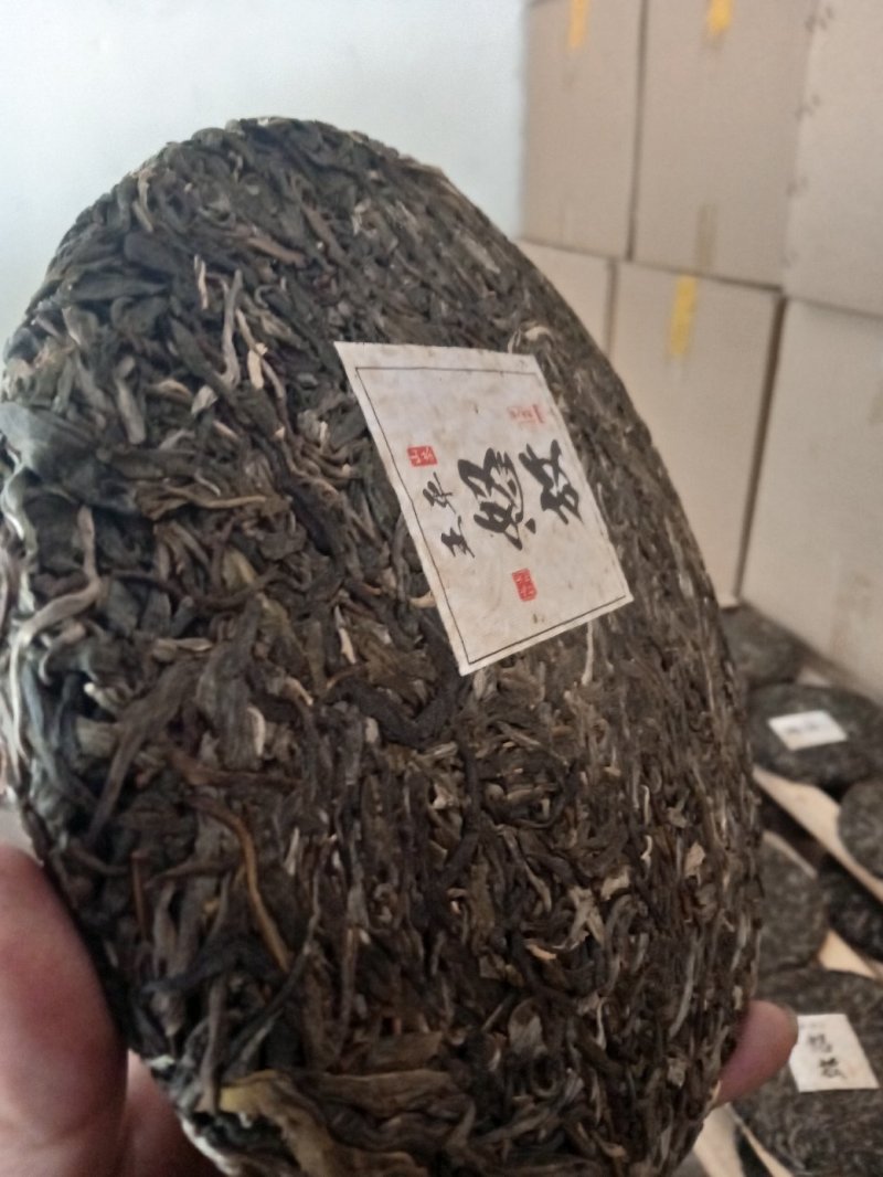 古树茶