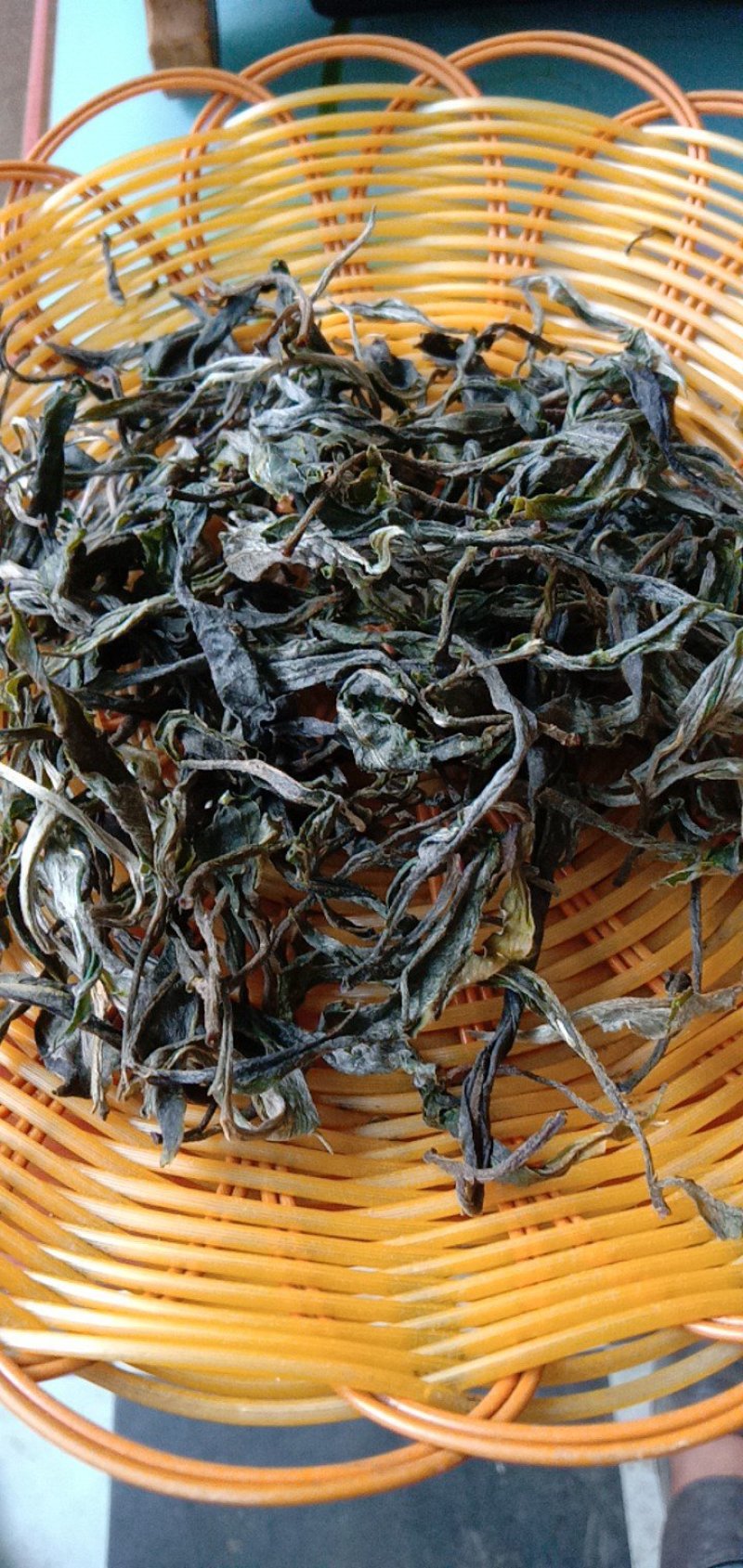 古树茶