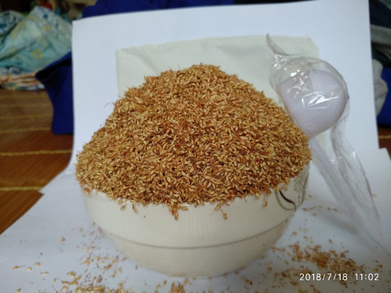 木莲豆腐薛荔果野生籽凉粉籽爱玉籽爱玉子手搓冰粉籽石木瓜1