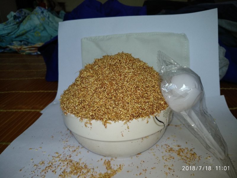 木莲豆腐薛荔果野生籽凉粉籽爱玉籽爱玉子手搓冰粉籽石木瓜1