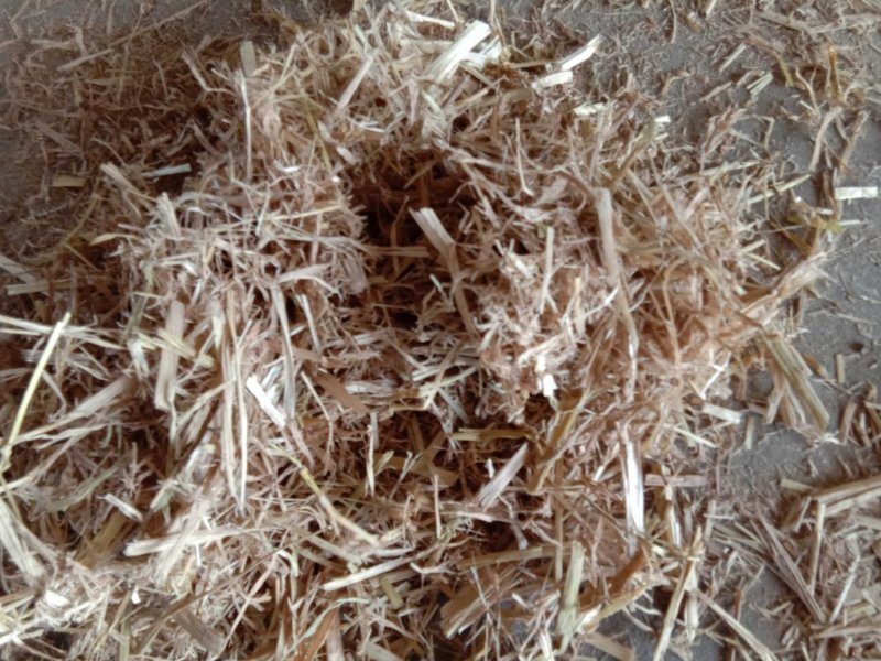 稻草揉丝稻草、长稻草、切段草，适合牛羊及绿化使用