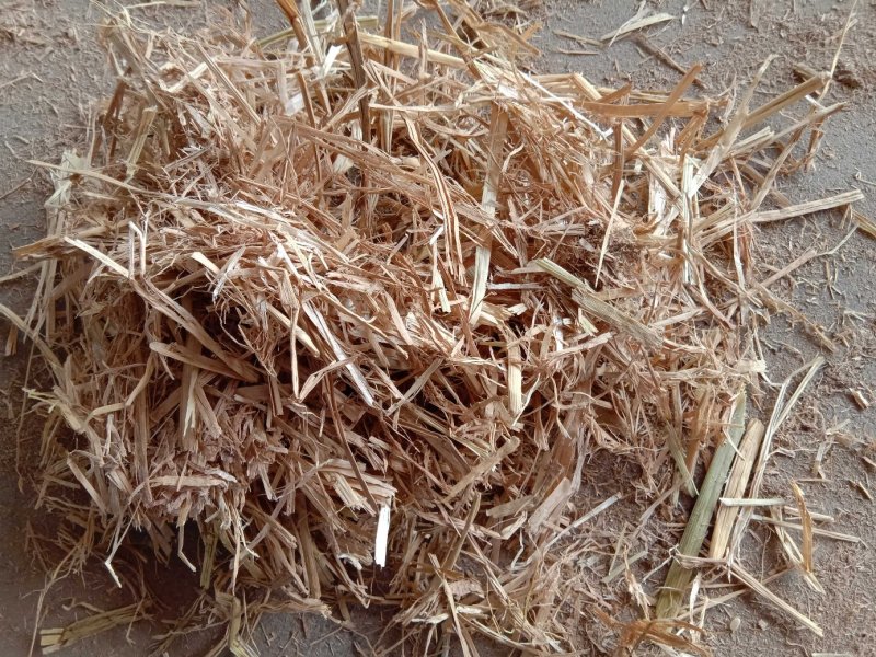 稻草揉丝稻草、长稻草、切段草，适合牛羊及绿化使用
