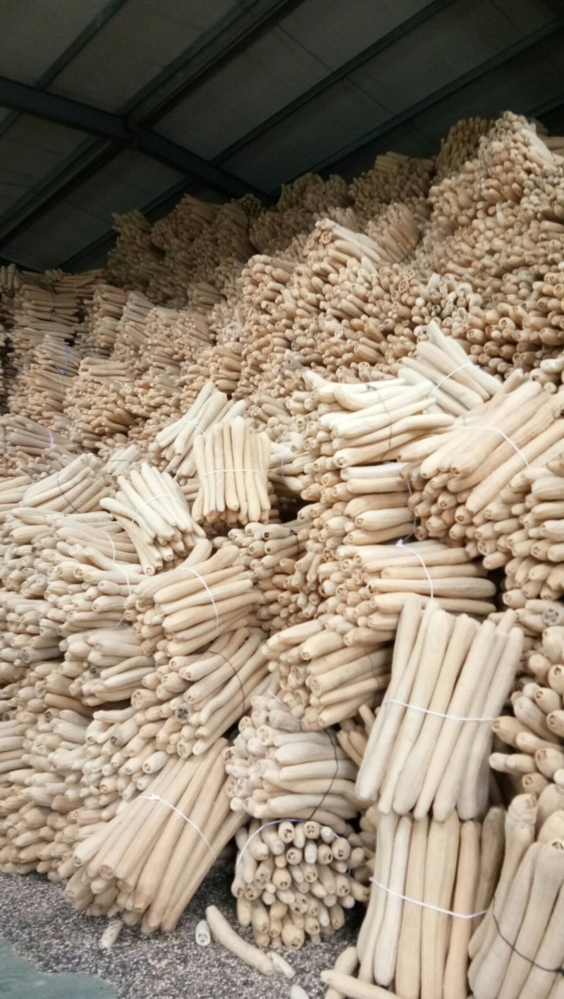 丝瓜络