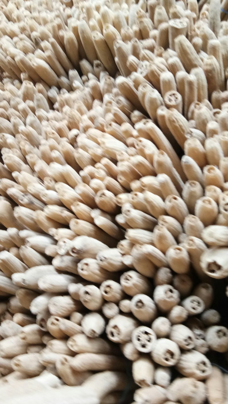 丝瓜络