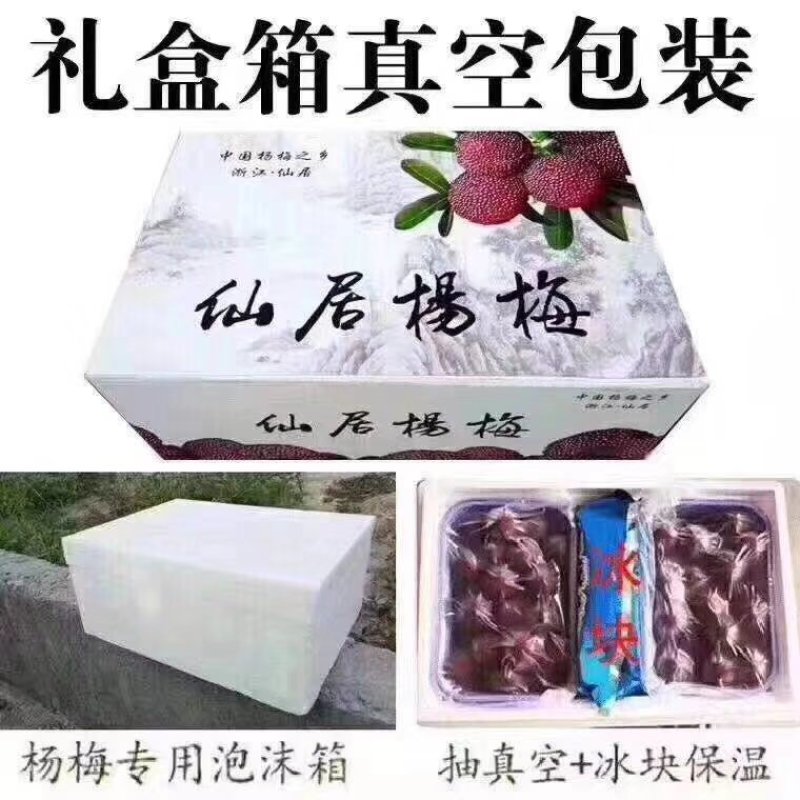 仙居杨梅自产自销
