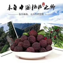 仙居杨梅自产自销