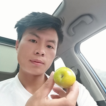 四月李蜂糖李口感吃到了都叫好吃过了还会怀念
