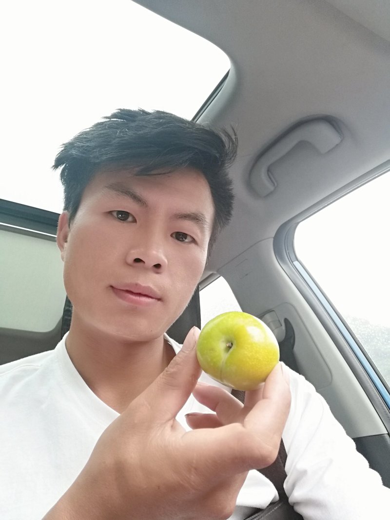 四月李蜂糖李口感吃到了都叫好吃过了还会怀念