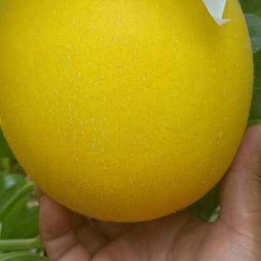 久红瑞大量有货