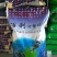 河蟹配合饲料火爆上市质优价廉视频看货量大优惠