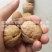 阿克苏薄皮核桃