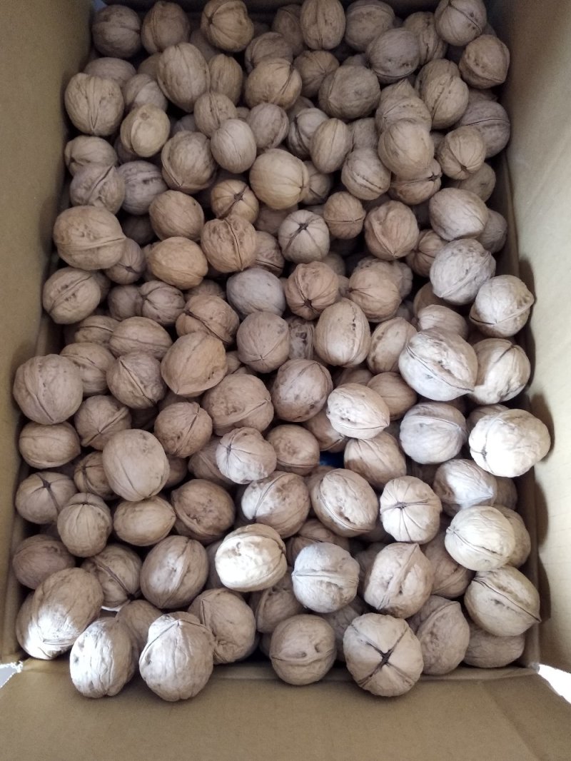 阿克苏薄皮核桃