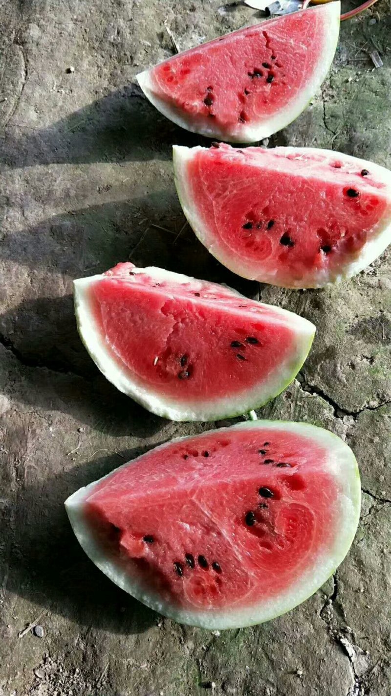 西瓜
