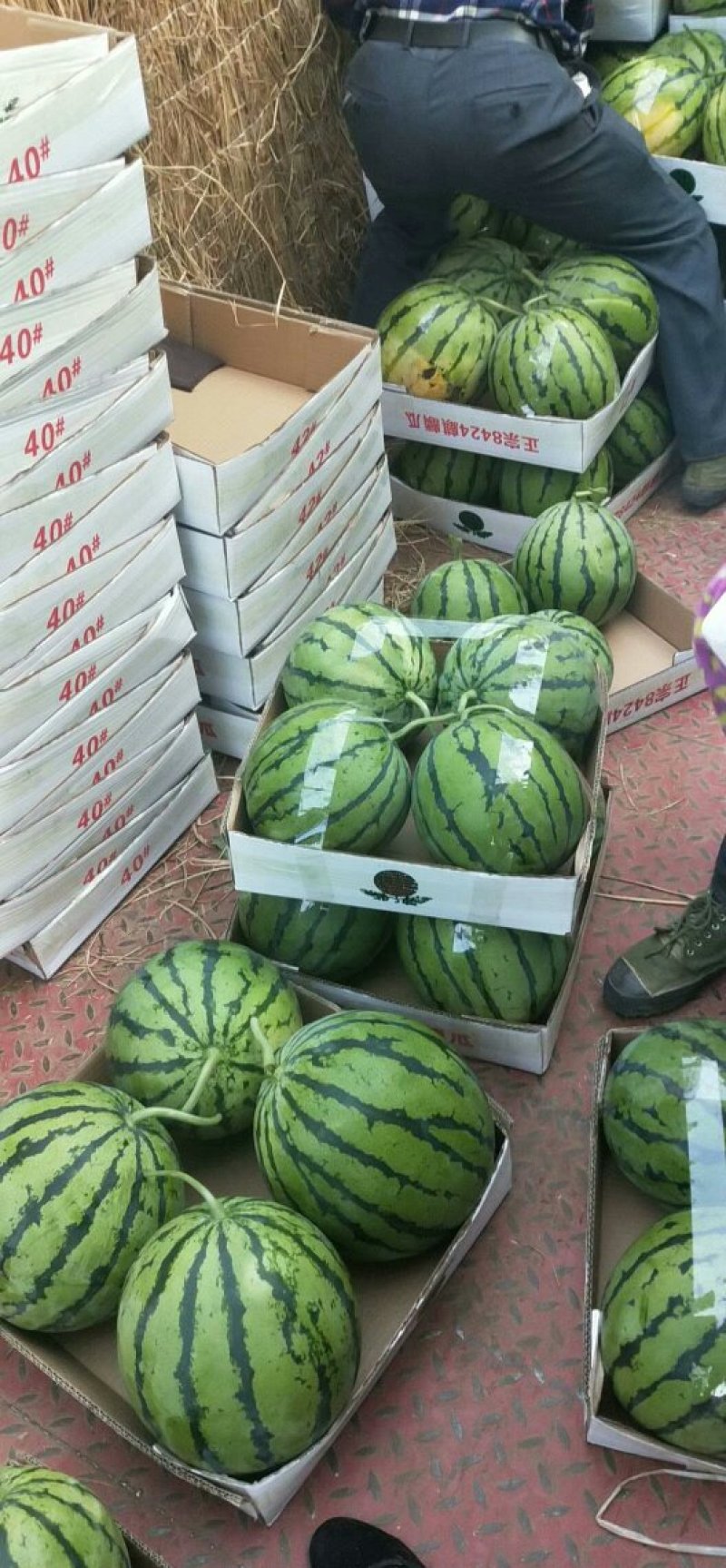 西瓜