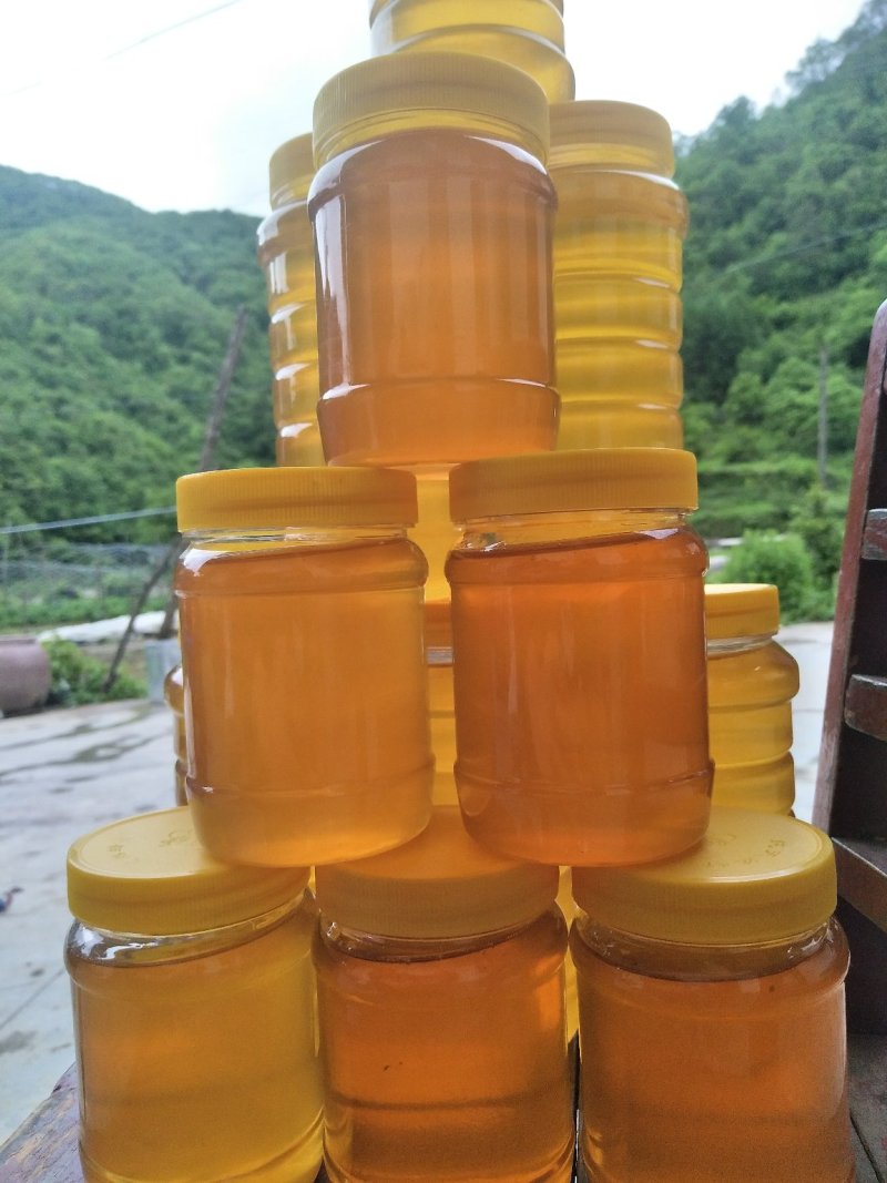 红色两当特色土蜂蜜