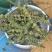 荆芥荆芥穗供应上千种中药材