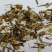 荆芥荆芥穗供应上千种中药材