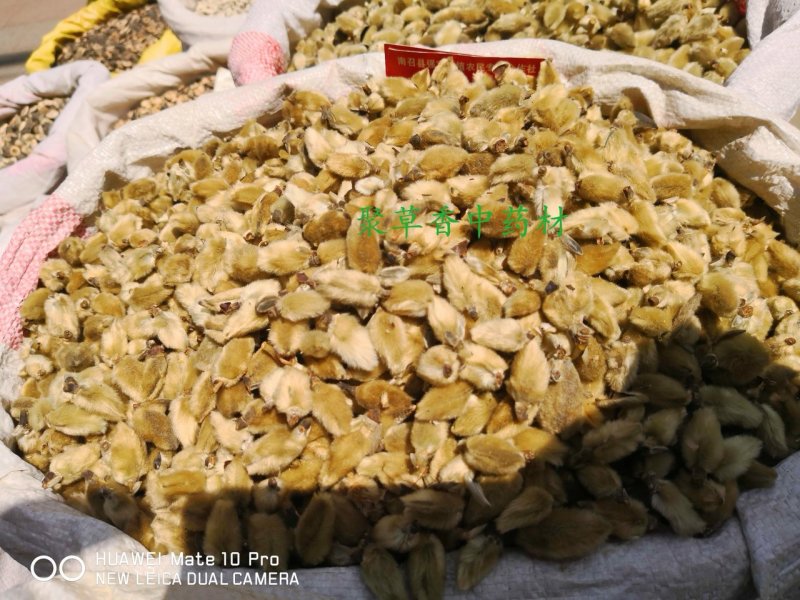 辛夷大花河南干货2斤起包邮量大从优各种规格