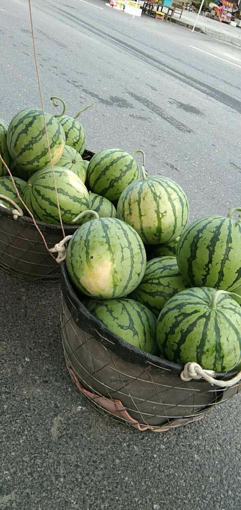 麒麟西瓜