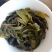 2020冰岛南迫古树普洱茶，200克/饼，头春