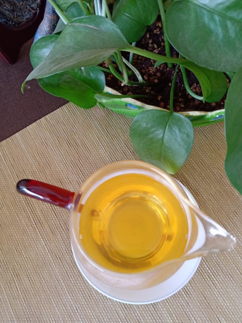 2020冰岛南迫古树普洱茶，200克/饼，头春