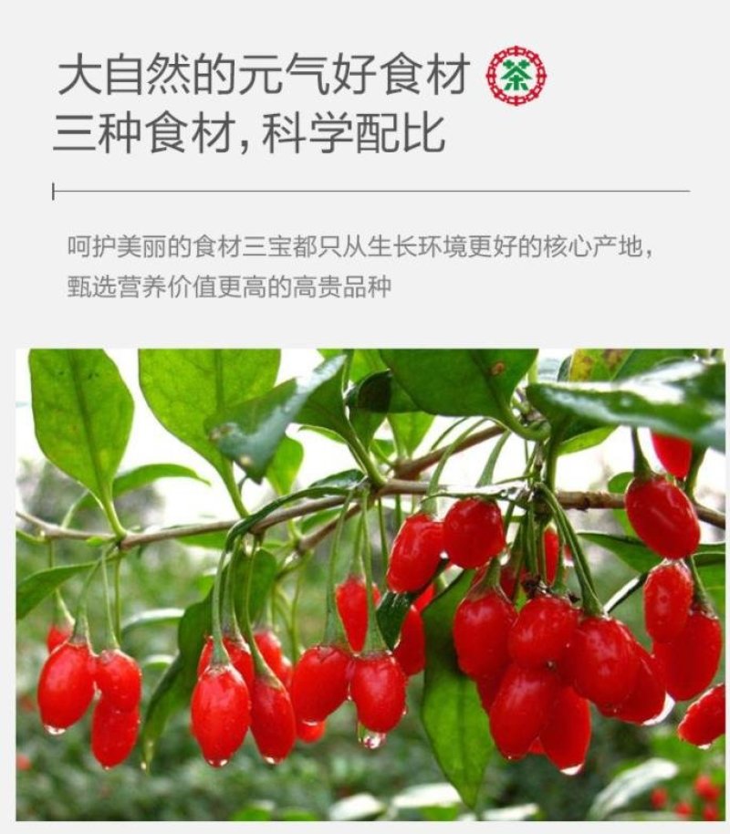 桂圆红枣枸杞茶一袋装试喝可大量批发