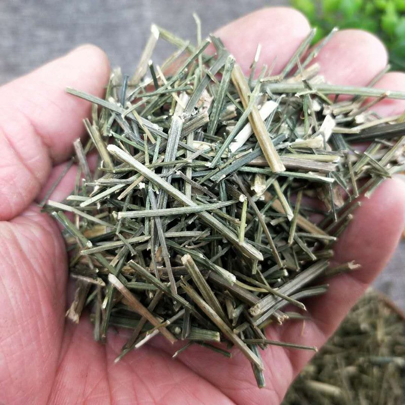 穿心莲供应上千种中药材