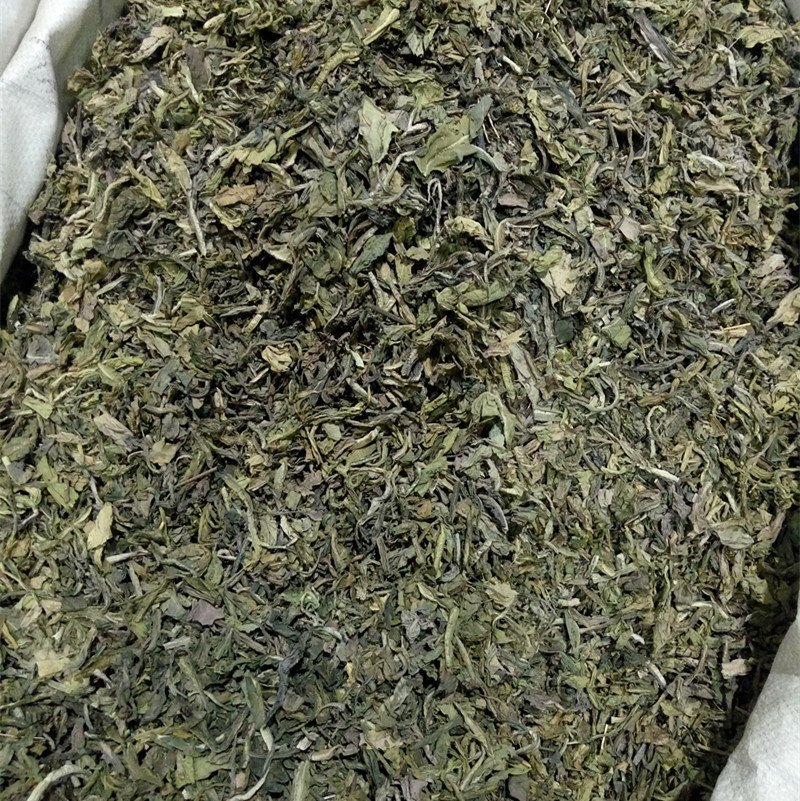 大青叶供应上千种中药材